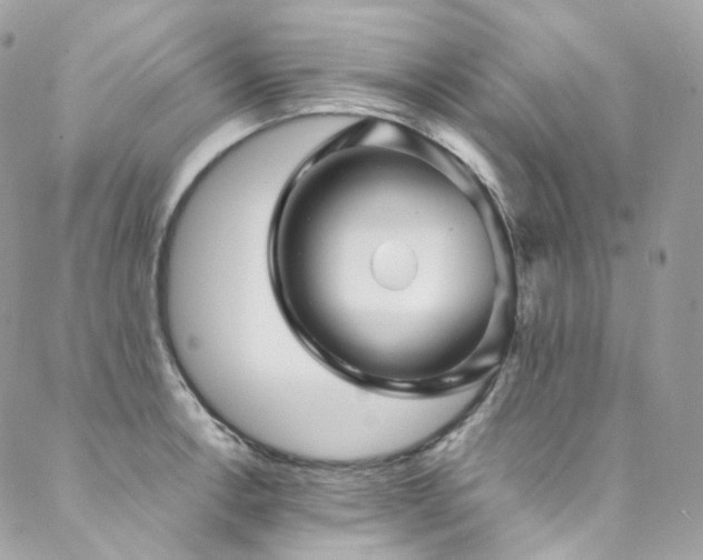X0000088481138200705221410