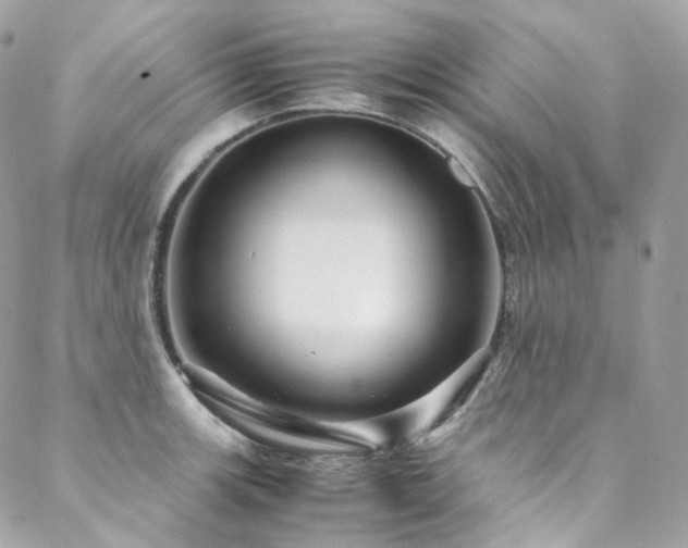X0000088481139200705221410