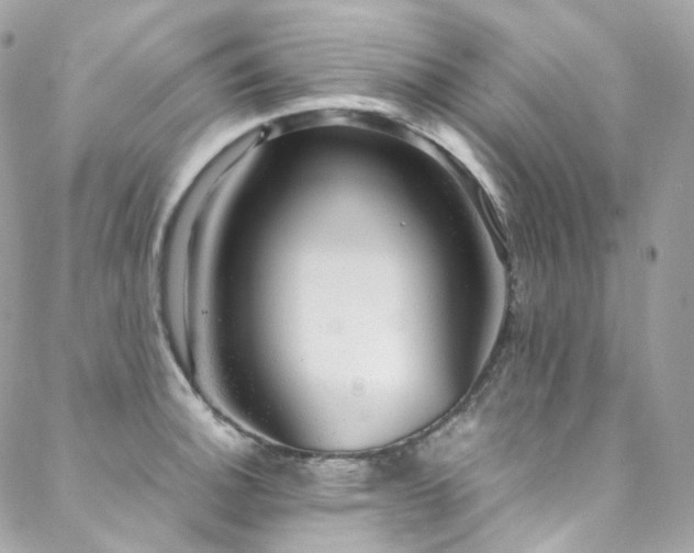 X0000088481140200705221410