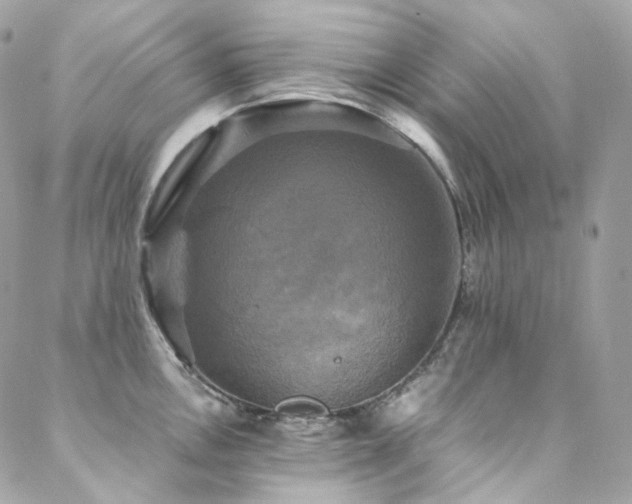 X0000088481146200705221410