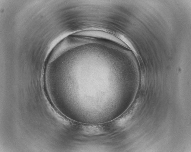 X0000088481149200705221410