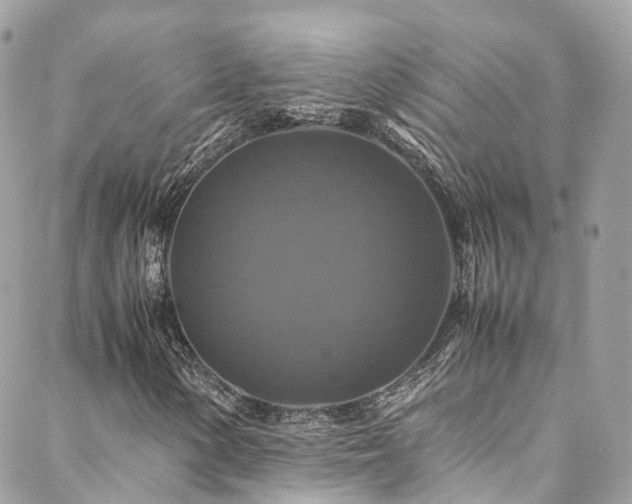 X0000088481154200705221410
