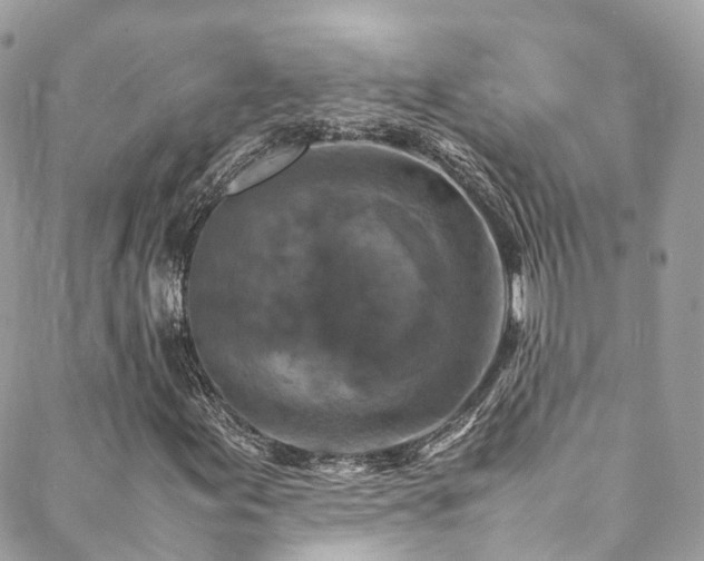 X0000088481155200705221410