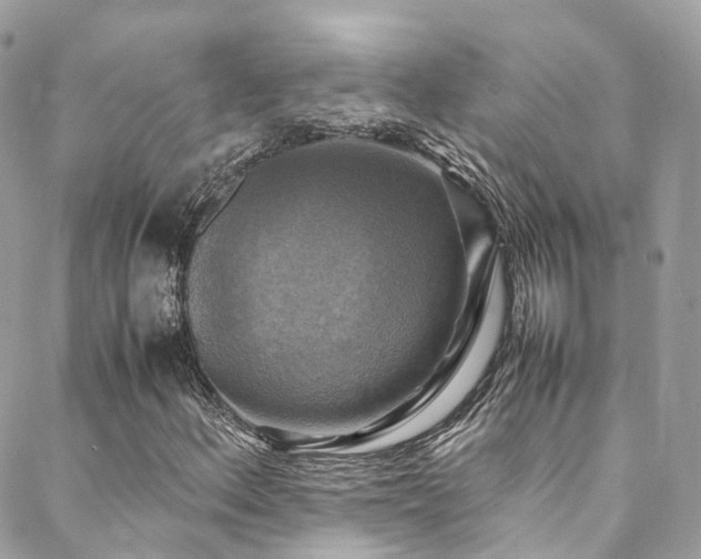 X0000088481156200705221410