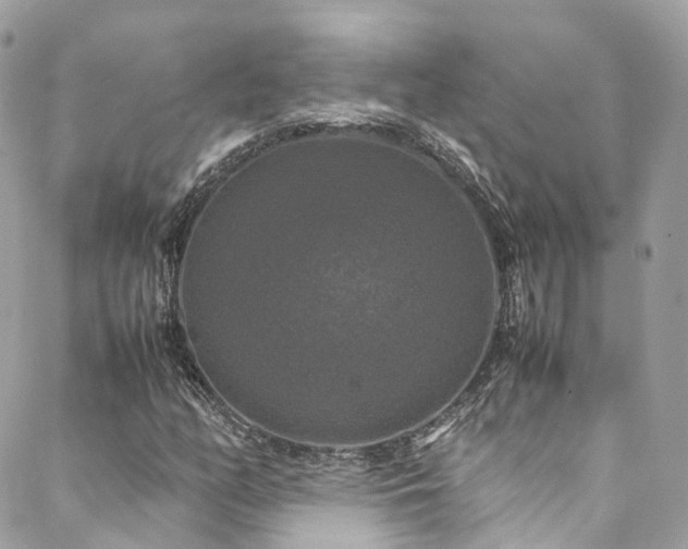 X0000088481158200705221410