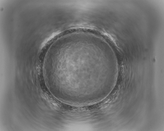 X0000088481159200705221410