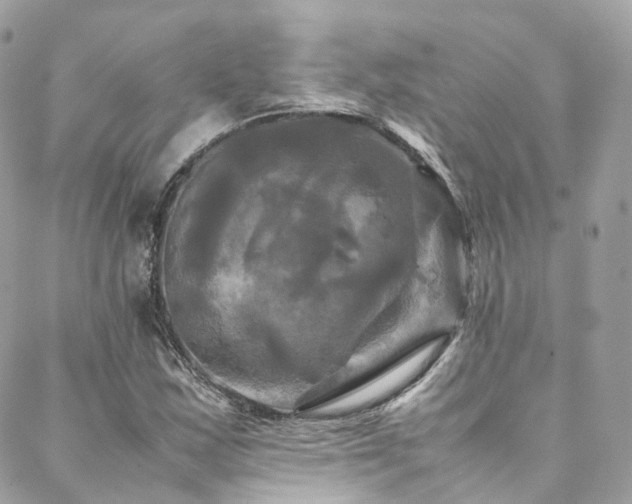 X0000088481163200705221410