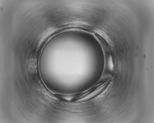 X0000088481164200705221410