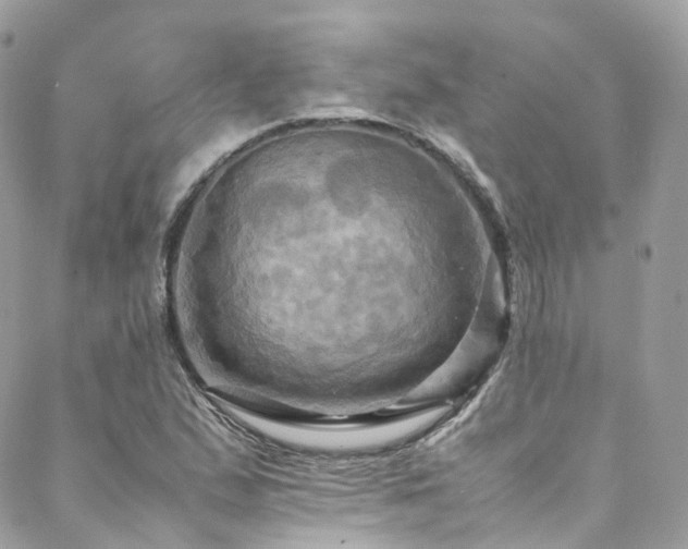 X0000088481167200705221409