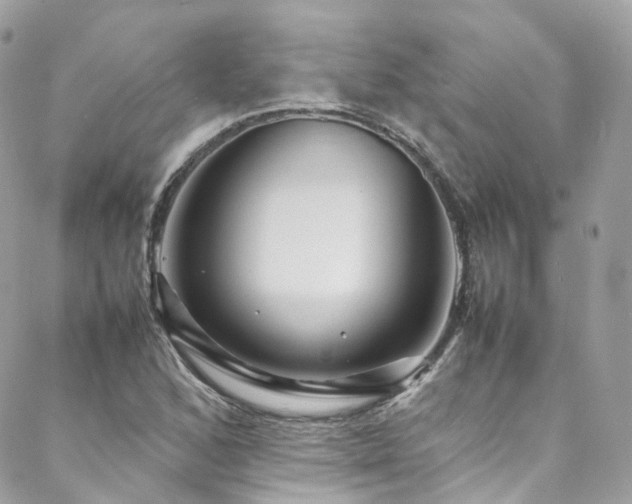 X0000088481168200705221409