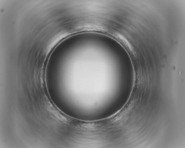 X0000088481182200705221409