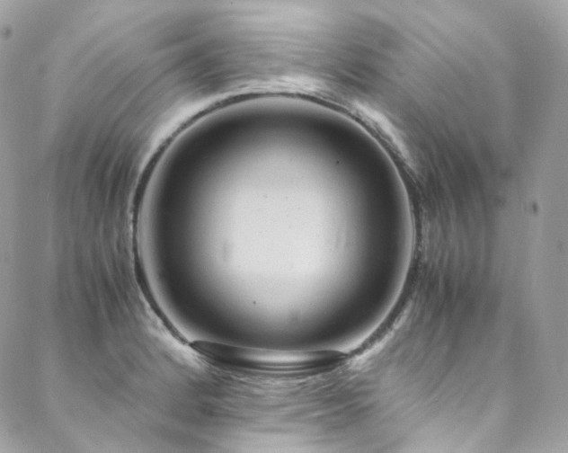 X0000088481184200705221409