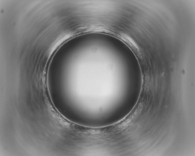 X0000088481190200705221409
