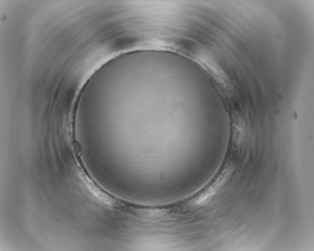 X0000088481192200705221409