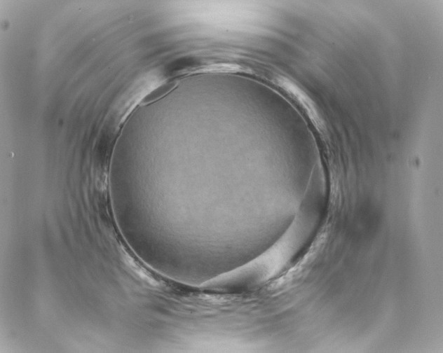 X0000088481193200705221409