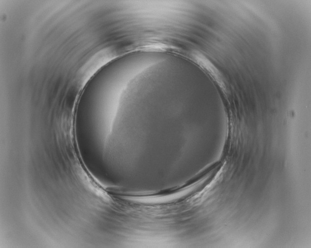 X0000088481194200705221409