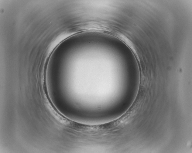 X0000088481195200705221409