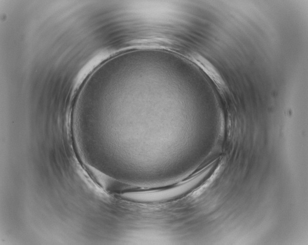 X0000088481196200705221409