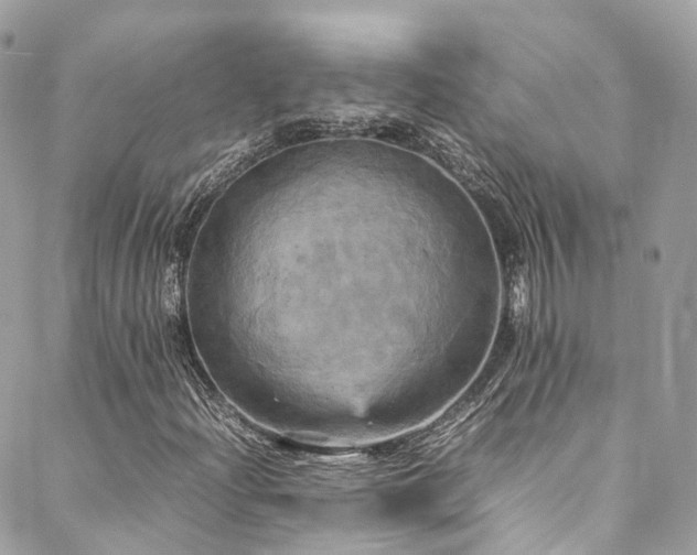 X0000088481204200705221408
