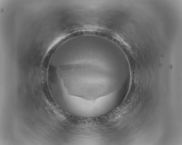 X0000088481208200705221408