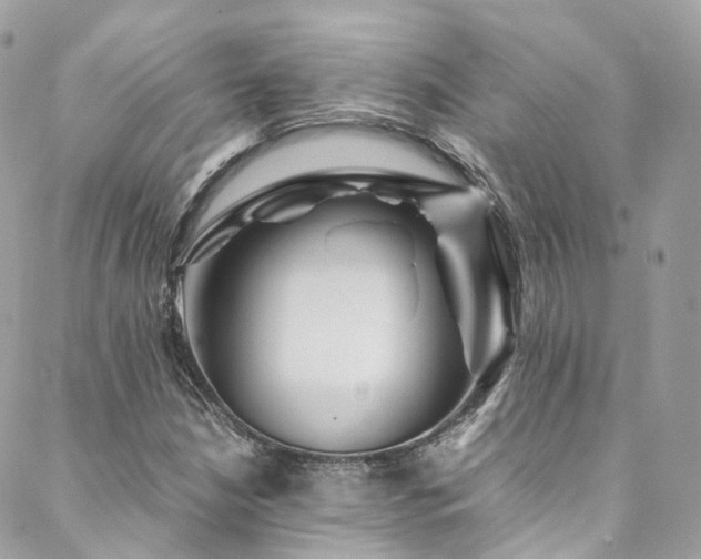 X0000088481210200705221408