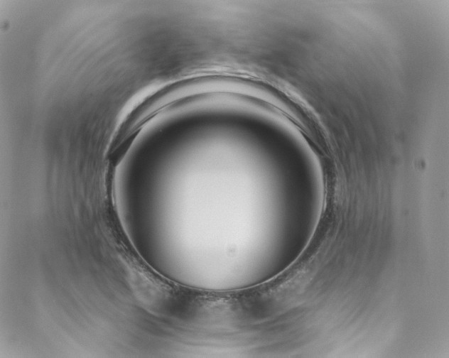 X0000088481222200705221409