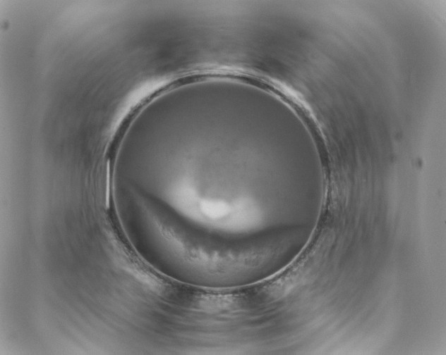 X0000088481223200705221409