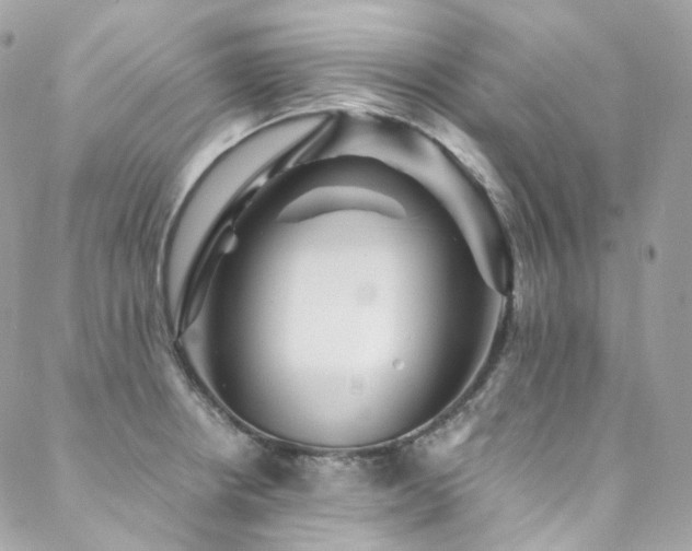 X0000088481234200705221409