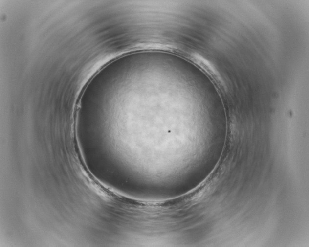 X0000088481236200705221409