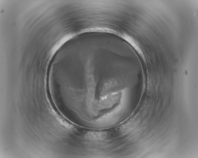 X0000088481237200705221409