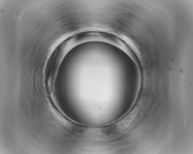 X0000088481238200705221409