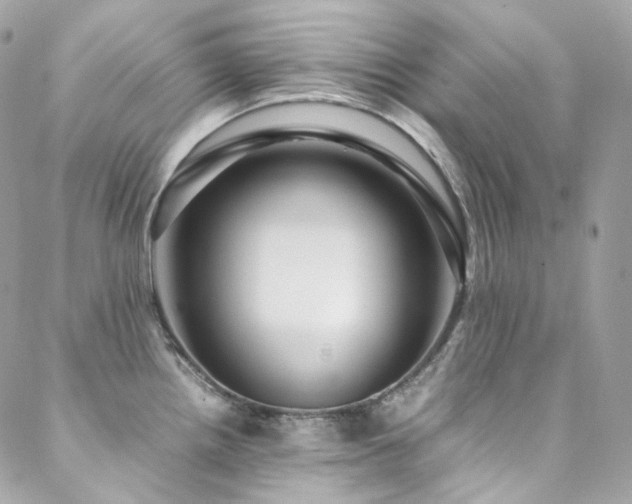 X0000088481242200705221409