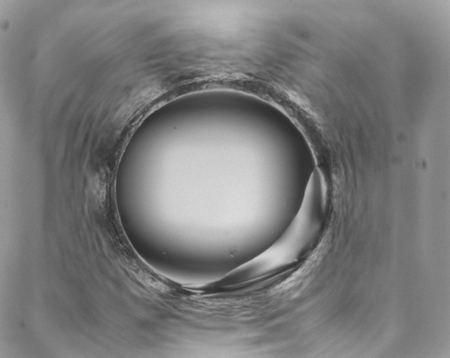 X0000088481257200705221408