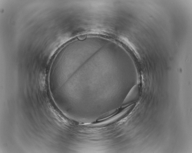 X0000088481260200705221408