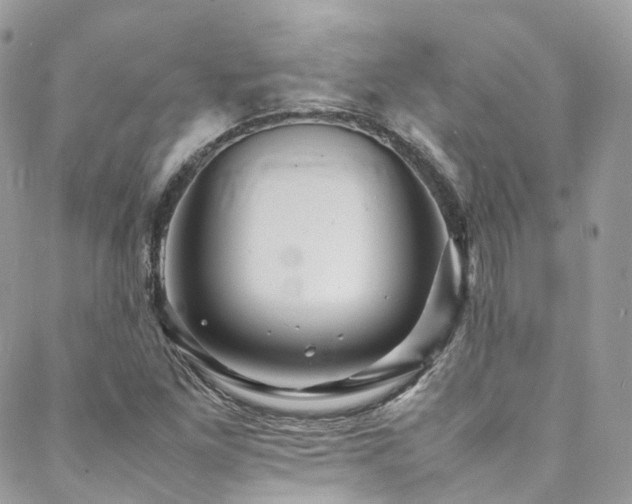 X0000088481261200705221408