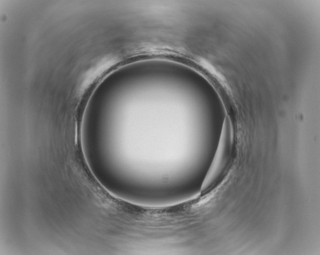 X0000088481269200705221408