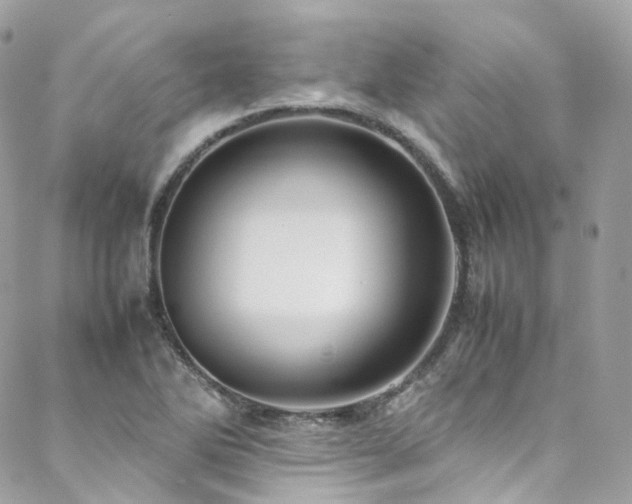 X0000088481270200705221408