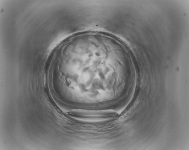 X0000088481271200705221408