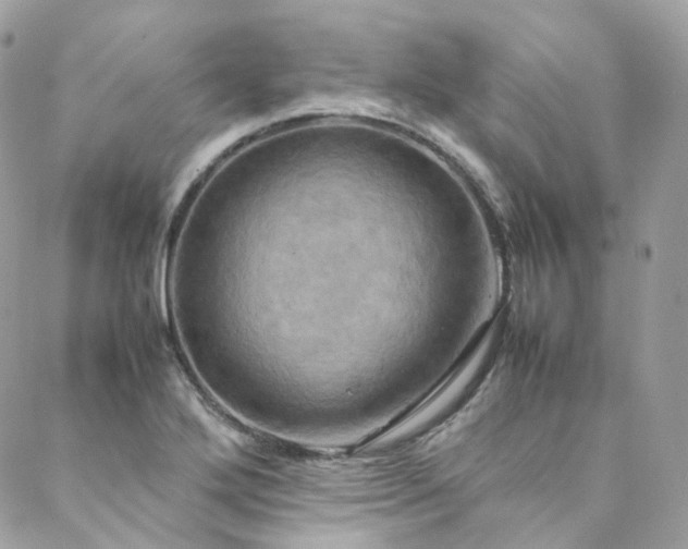 X0000088481272200705221408