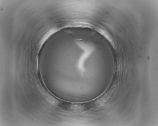 X0000088481275200705221408