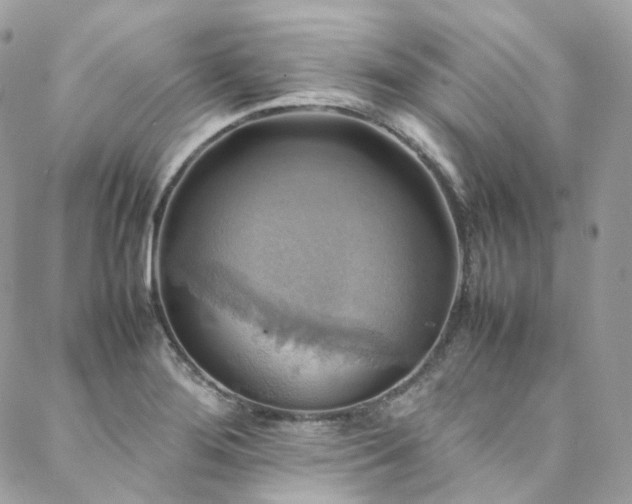 X0000088481276200705221408