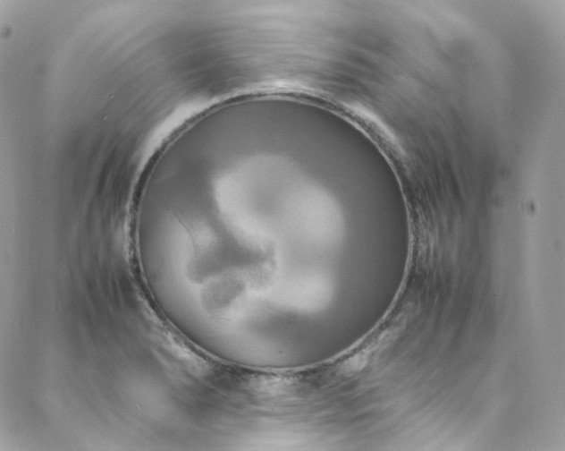 X0000088481278200705221408