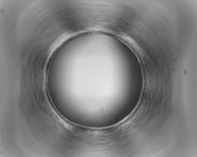 X0000088481286200705221408
