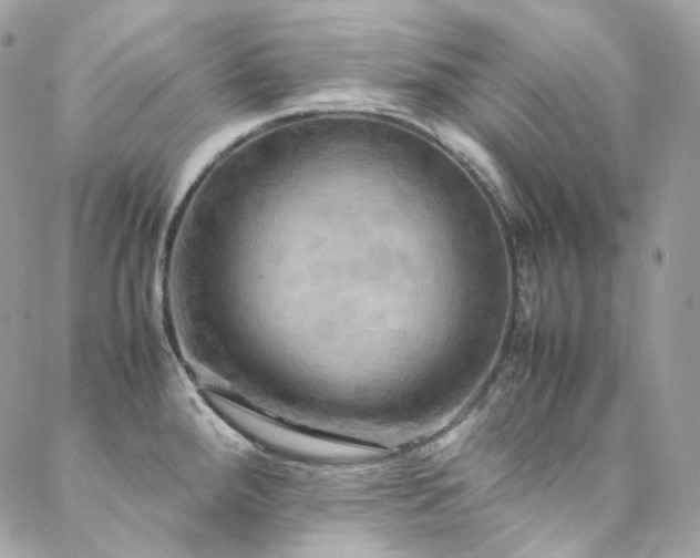 X0000088481288200705221408