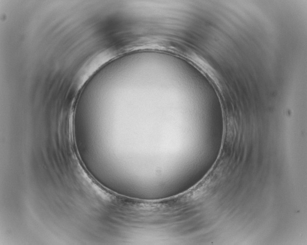 X0000088481290200705221408