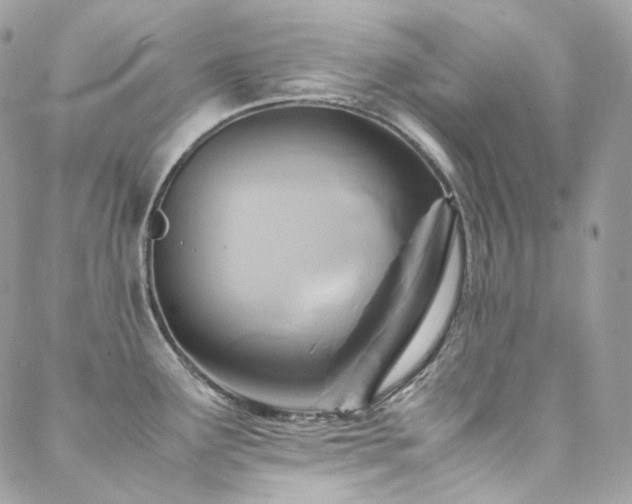 X0000088481291200705221407