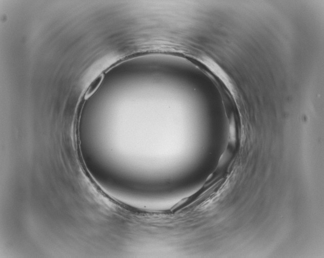 X0000088481293200705221407