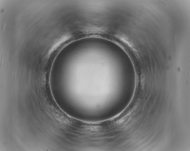 X0000088481309200705221407