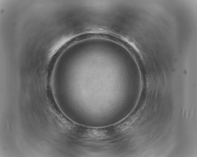 X0000088481311200705221407