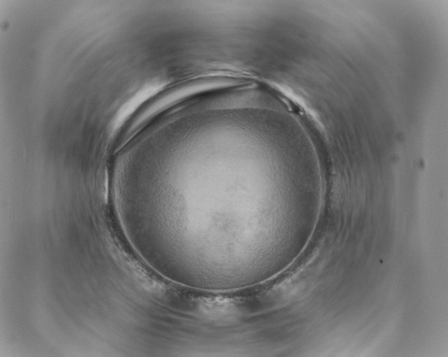X0000088481317200705221407